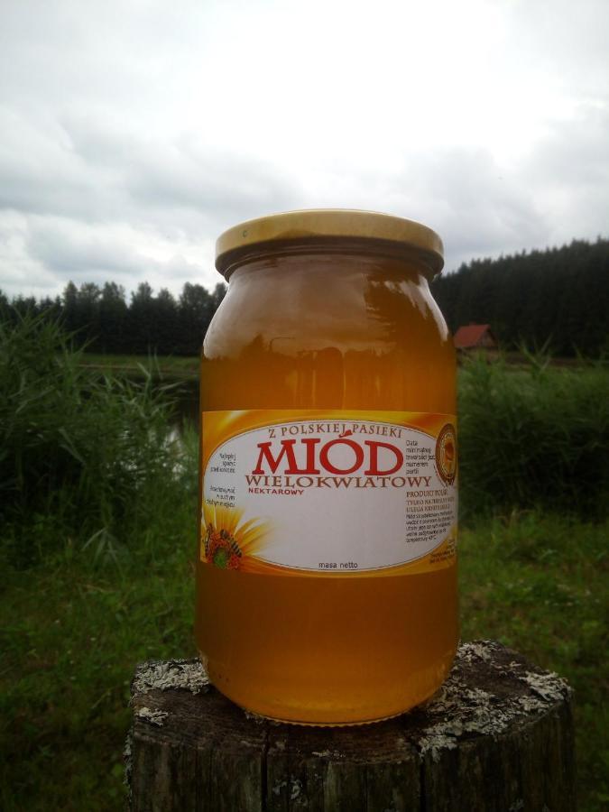 Holiday home Hexagon Honey House+ Prywatna Plaza+jezioro+ Stawy+ Gospodarstwo+ Pasieka
