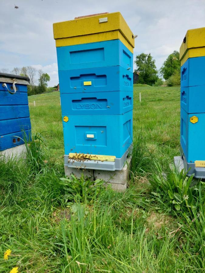 Ferienhaus Hexagon Honey House+ Prywatna Plaza+jezioro+ Stawy+ Gospodarstwo+ Pasieka